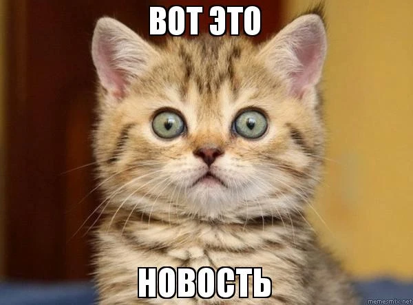 Боты для twich: зачем нужны, как выбрать подходящий