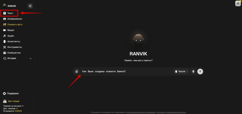 Ranvik AI