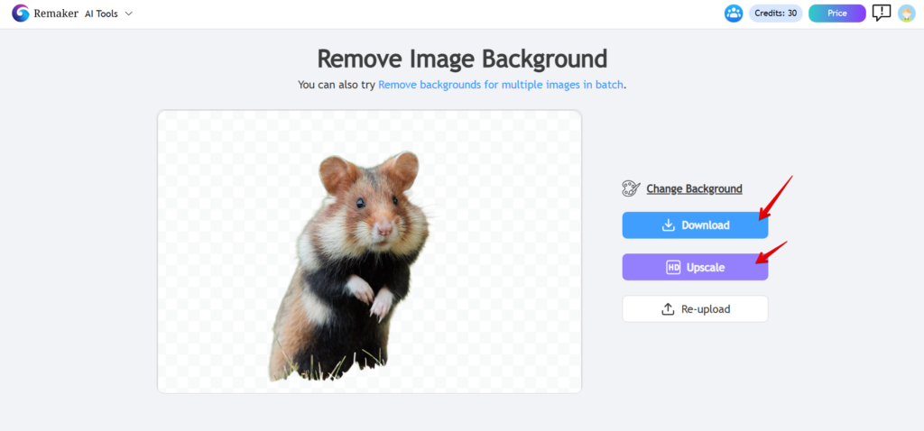 Remaker AI