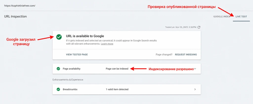 Проверка индексации страницы в Google с подтверждением доступности и разрешения индексации.